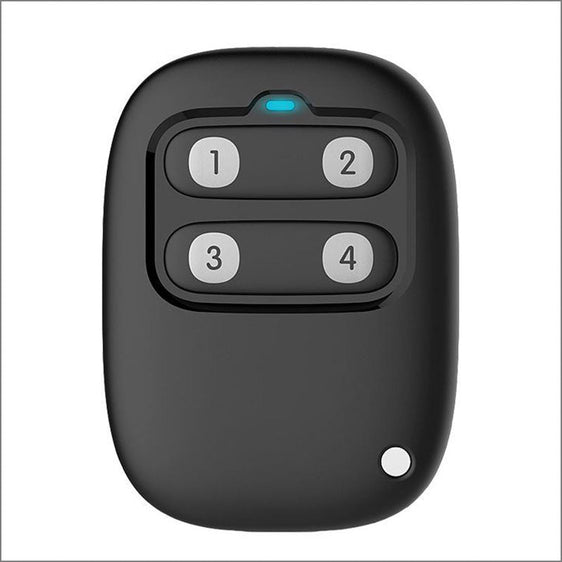 Extra Remote Control
